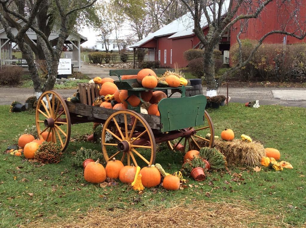 Countryside Inn Nappanee Екстериор снимка